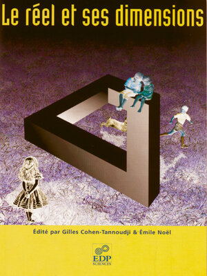 cover image of Le réel et ses dimensions